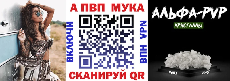 дарк нет как зайти  Энем  Альфа ПВП СК КРИС 