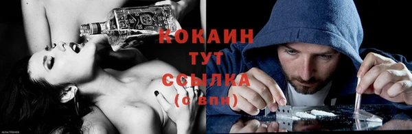 шишки Абинск