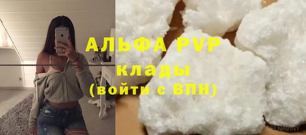шишки Абинск