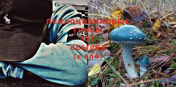 прущая мука Абаза