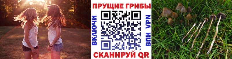 ссылка на мегу рабочий сайт  Энем  Галлюциногенные грибы GOLDEN TEACHER 